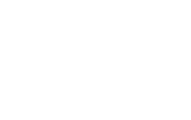 Back in Action Therapy